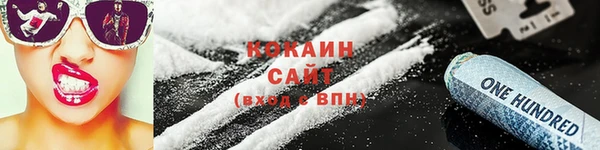 ГАЛЛЮЦИНОГЕННЫЕ ГРИБЫ Бородино