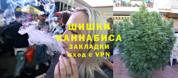 ГАЛЛЮЦИНОГЕННЫЕ ГРИБЫ Бородино