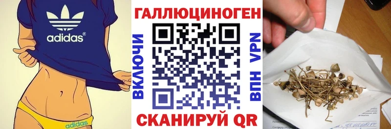 Псилоцибиновые грибы прущие грибы  сколько стоит  Волосово 